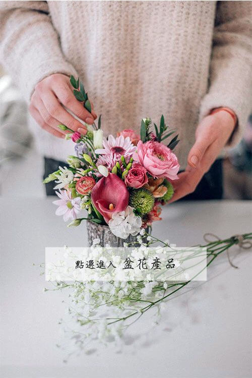 盆花